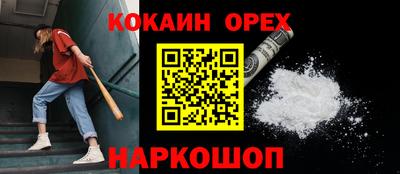 сатива Новокубанск