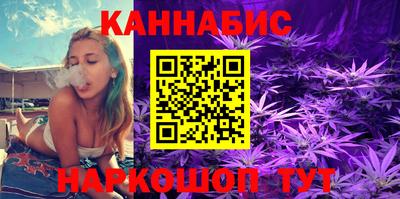 сатива Новокубанск