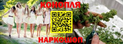 сатива Новокубанск
