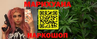 сатива Новокубанск
