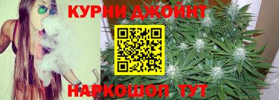сатива Новокубанск