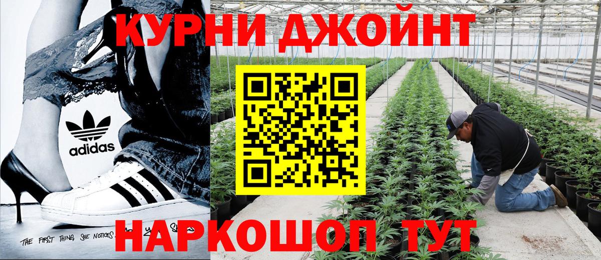 Марихуана марихуана  Бошки Шишки план  Каннабис конопля  Канабис MAZAR  Вход с VPN  Буйнакск 